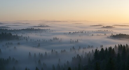 Fototapeta premium Misty Dawn: Serene Forest Landscape Photography AI Generated