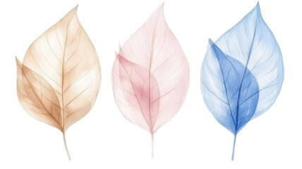 Obraz premium Title: Delicate Watercolor Composition Featuring Soft Botanical Elements and Pastel Tones in PNG