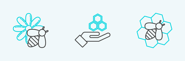 Set line Bee and honeycomb, flower and Honeycomb hand icon. Vector
