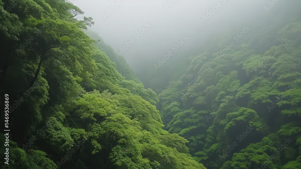 Poster lush green forest covered in a light fog creating serene and mystical atmosphere with dense vibrant 