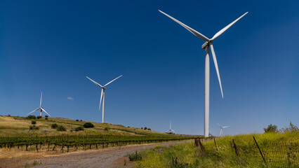 Wind farm with white turbines in a small vineyard in the Golan Heights in northern Israel