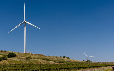 Large wind turbine in a small vineyard in the Golan Heights in northern Israel