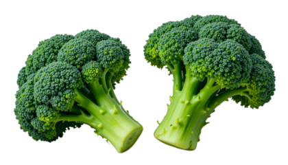 Nutritious broccoli harvesting event local farm food photography vibrant green environment close-up viewpoint healthy eating concept for seo impact
