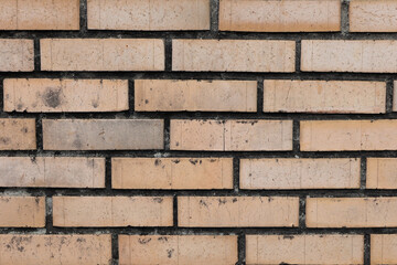 Texture Of A Wall Made Of Light Beige Or Yellowish Bricks With Dark Grey Mortar Joints. Clean And Even Brickwork Pattern. Construction Background.