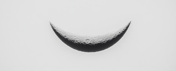 Abstract Black And White Crescent Moon Shape Art