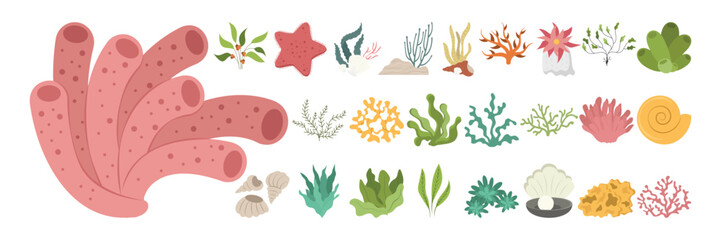 Colorful underwater plants, corals, shells, and sea life elements