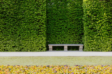Green wall in the park with bench and flowering hedge