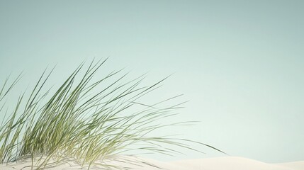 A serene beach scene with tall grasses and a light blue sky.