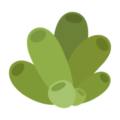 Cartoon-style underwater plants, corals, sponges, and sea life shapes