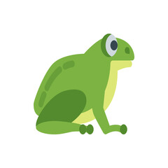 A cartoon style illustration of a green frog with a light yellow belly and visible eye on white background