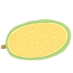 Cempedak Indonesian Fruit Illustration