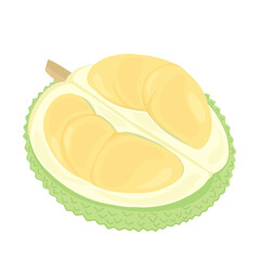 Durian Indonesian Fruit Illustration