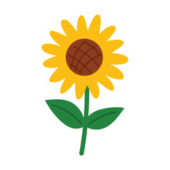 Cute sunflower illustration. Bright yellow petals, green leaves and brown center. Simple cheerful floral vector for summer, eco and seasonal design.