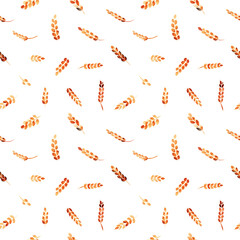 Еars of wheat on a white background