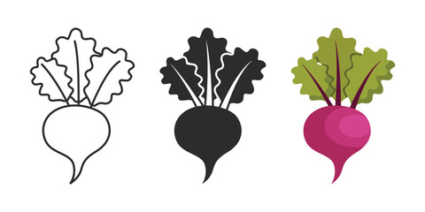 Beetroot vegetable with leaves icon set collection in flat style. Beet plant vector illustration on isolated background. Healthy food sign business concept.