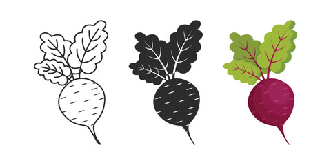 Beetroot vegetable with leaves icon set collection in flat style. Beet plant vector illustration on isolated background. Healthy food sign business concept.