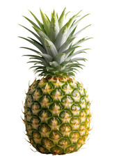 Fototapeta premium Pineapple, Isolated Transparent Background, Tropical Design Element