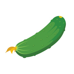 Cucumber vegetable icon in flat style. Gherkin plant vector illustration on isolated background. Healthy food sign business concept.