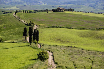 Val d'Orcia, Tuscany, during spring time with green fields.