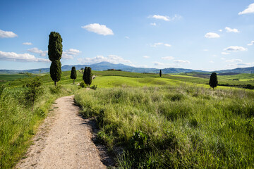 Val d'Orcia, Tuscany, during spring time with green fields.