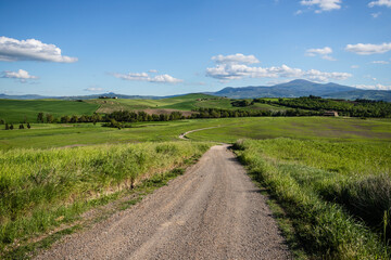 Val d'Orcia, Tuscany, during spring time with green fields.