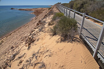 Board walk at Eagle Bluff at Denham, Western Australia, Australia
