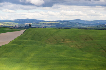 Val d'Orcia, Tuscany, during spring time with green fields.