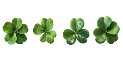 Green Four Leaf Clover Isolated on Transparent or White Background for Good Luck Charm Design