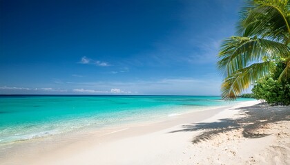 Obraz premium idyllic tropical beach paradise with turquoise water and palm tree shade