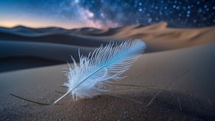 Feather Resting on Sand Dunes Underneath a Starry Night Sky