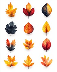 Obraz premium Autumn leaves, various colors and shapes. Detailed illustration of different fall foliage