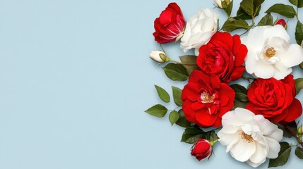 Ornate floral layout featuring realistic red and white roses on light blue