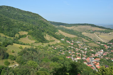 mountain landscape with trees