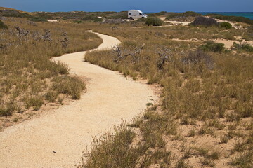 Hiking track to Bloodwood Creek Lookout in Cape Range National Park, Western Australia, Australia

