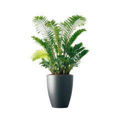 Obraz premium A vibrant potted plant featuring lush green leaves, enhancing indoor aesthetics, perfect for home decor or office settings with a modern touch.