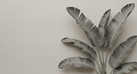 A monochromatic image of a banana plant with large leaves against a beige textured wall, evoking a sense of modern minimalist design with a natural aesthetic.