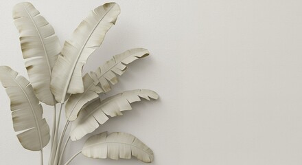 Elegant minimalist background featuring stylized banana leaves against a neutral textured wall, perfect for design and decor projects