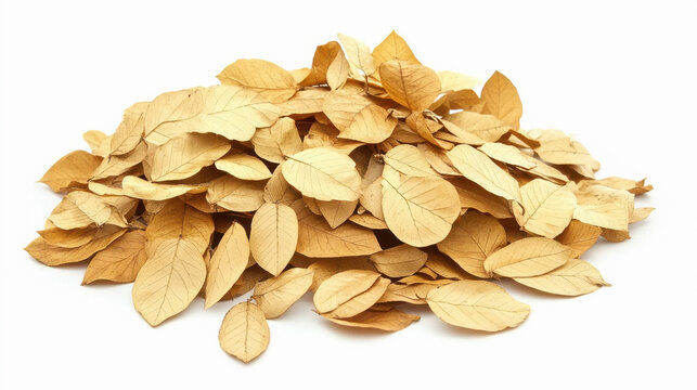 heap of senna leafs, isolated on white background