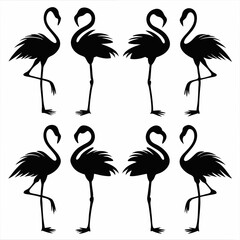Flamingo silhouettes set, large pack of vector silhouette design