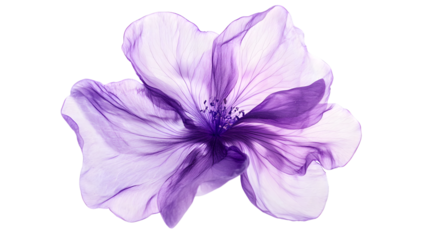 Vibrant Neon Purple Trippy Flower Isolated on Transparent Background for Creative Designs