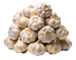 pile of fresh garlic  isolated on white background. Transparent PNG file type available .