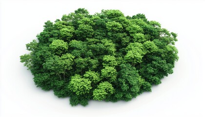 Green Rain Forest In Asia Captured From An Aerial Perspective. The Lush Canopy Of The Forest Covers The Landscape In Shades Of Green.
