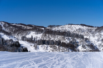 snow covered mountains