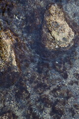 texture, rock, wall, nature, stone, tree, abstract, old, moss, rough, surface, green, grunge, textured, wood, lichen, bark, natural, water, pattern, plant, color, rocks, white, macro