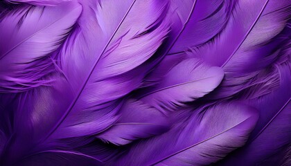 Fototapeta premium exquisite violet feathers nature s elegant plumage celebrating beauty and grace