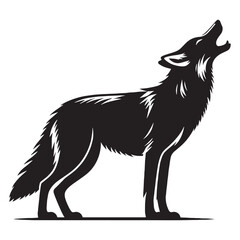 Vocal and dramatic howling coyote silhouette perfect for night sky artwork – howling coyote vector – howling coyote illustration – silhouette of howling coyote

