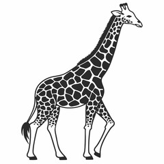 Obraz premium Giraffe Wildlife Outline Drawing African Animal Illustration Art