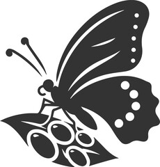Vector butterfly silhouette