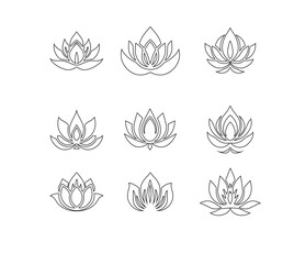 Floral Lotus Symbol Botanical Art