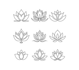 Floral Lotus Symbol Botanical Art